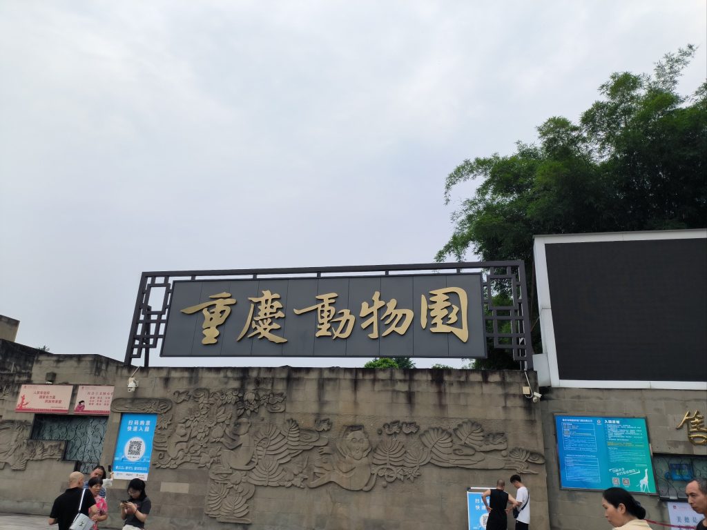 Chongqing Giant Panda Zoo